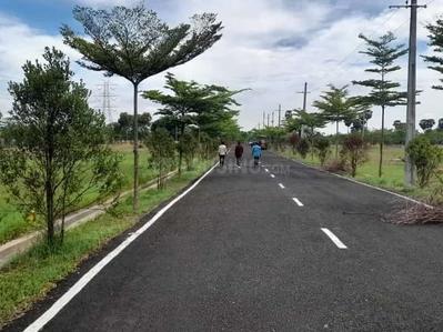 Ram bageecha Plot View 2