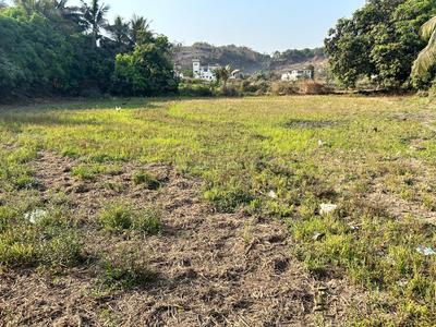 Palaspa Plot View 2