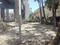 New Colony, Adambakkam Main Image 1
