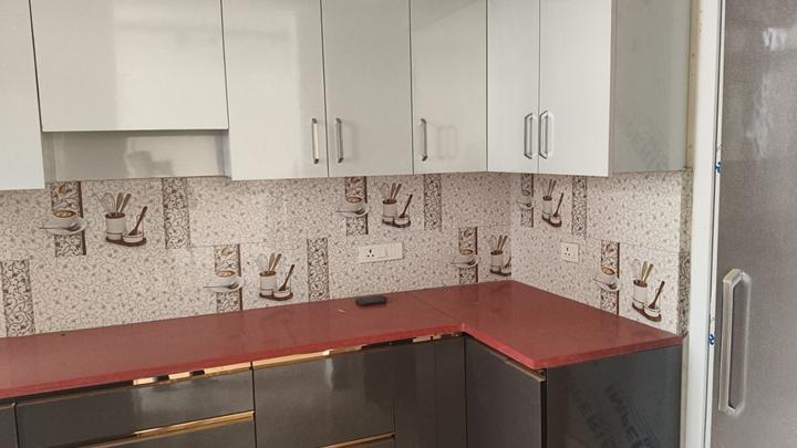 SS The Leaf Main Image 1