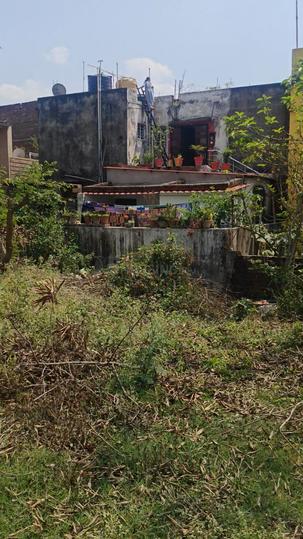 Subhash colony mango Main Image 1