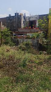 Subhash colony mango Plot View 1