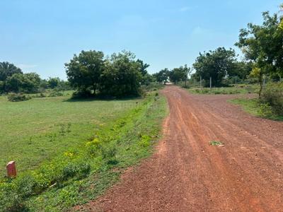 Orathur Plot View 2
