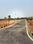 Annur Plot View 2
