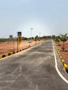Annur Plot View 2