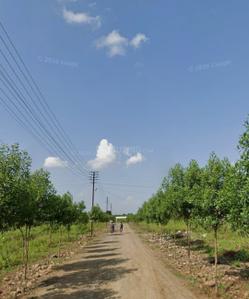 Image of 1500 Sq.ft 3 BHK Builder Floor for sale in Lava, Nagpur for Rs. 3100000