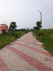 Nest Valley Internal Roads 1