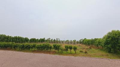Image of 10000 Sq.ft Residential Plot / Land for sale in Datrenga, Raipur for Rs. 7000000