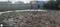 Ruby Hospital  Plot View 2