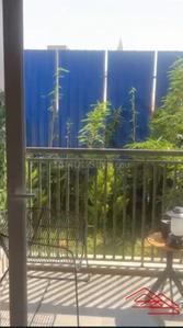 Balcony Image of 1194 Sq.ft 2 BHK Apartment / Flat for sale in Goyal Orchid Life by Goyal &amp; co | Hariyana Group, Gunjur Palya Bengaluru for Rs. 16700000