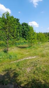Image of 1089 Sq.ft Residential Plot / Land for sale in Khopate, Raigad for Rs. 350000