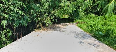 Image of 1629 Sq.ft Residential Plot / Land for sale in Anarwala, Dehradun for Rs. 5430000