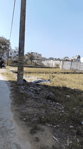 Singh More Plot View 1