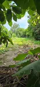Image of 1008 Sq.ft Residential Plot / Land for sale in Sector 135, Noida for Rs. 9000000