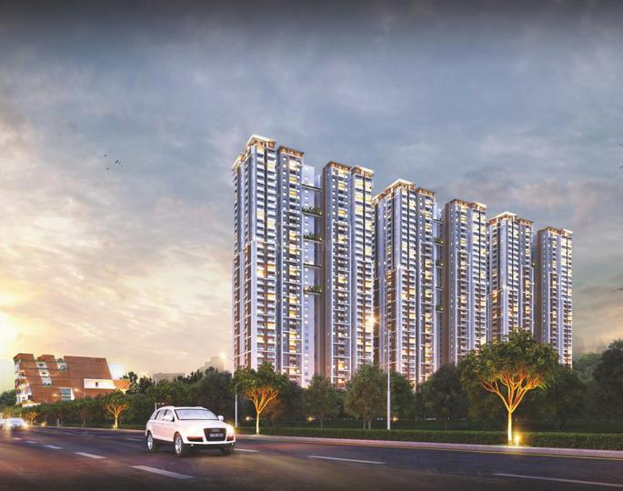 Team4 Nyla Main Image 1