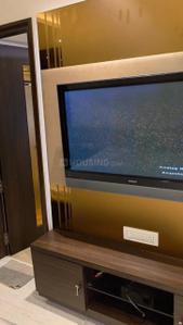 Hall Image of 1300 Sq.ft 3 BHK Apartment / Flat for rent in Andheri West Mumbai for Rs. 135000
