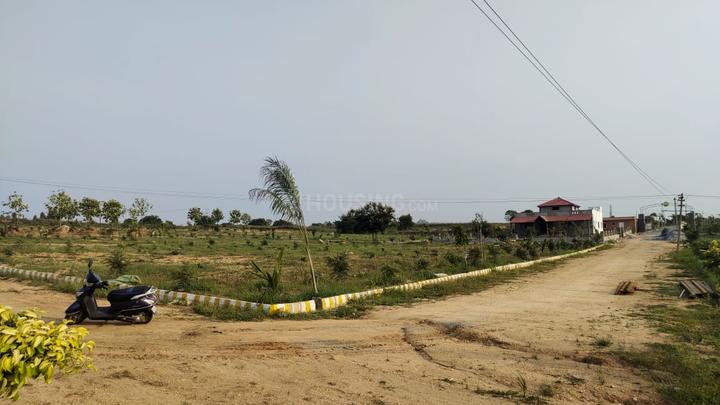 Image of 10000 Sq.ft Residential Plot / Land for sale in Denkanikottai, Krishnagiri for Rs. 3750002