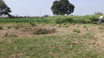 Image of 750 Sq.ft Residential Plot / Land for sale in Chirora, Patna for Rs. 1725000