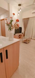 Hall Image of 720 Sq.ft 2 BHK Apartment / Flat for rent in Piramal Aranya, Byculla Mumbai for Rs. 165000