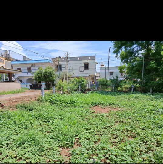 Kurudampalayam, Thudiyalur Main Image 1