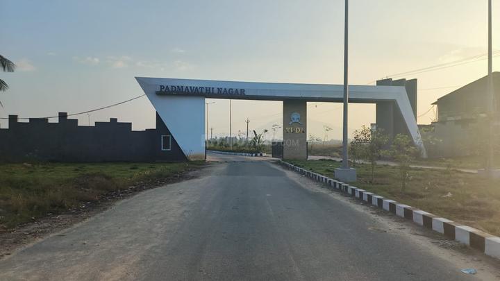 PADMAVATHI NAGAR TUDA LAYOUT  Main Image 1