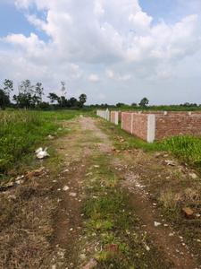 Nest Valley Internal Roads 1