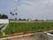 Adhanur Plot View 1