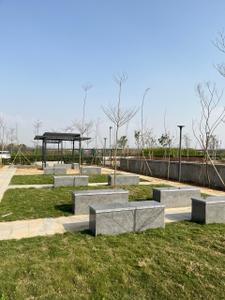 Image of 330 Sq.ft Residential Plot / Land for sale in BPTP Amstoria Verti Greens, Sector 102, Gurgaon for Rs. 110550000