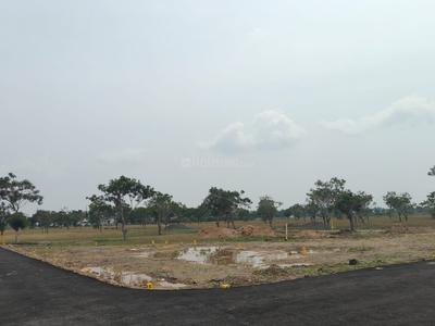 Residential Plot