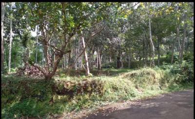 Image of 13068 Sq.ft Residential Plot / Land for sale in Vakayad, Kozhikode for Rs. 100000