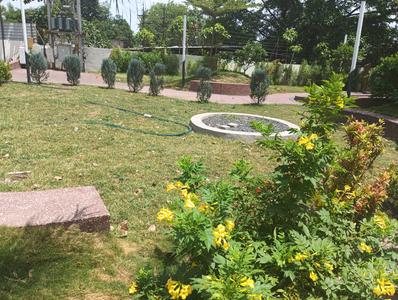 Shree Krishna Avenue Phase 1 Plot View 2