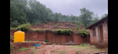 Sirsi Plot View 2