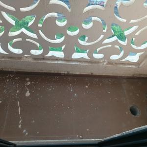 Balcony Image of 1250 Sq.ft 2 BHK Apartment / Flat for rent in Thakurli Thane for Rs. 24000