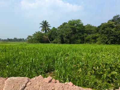 Image of 720 Sq.ft Residential Plot / Land for sale in Wander Valley, Joka, Kolkata for Rs. 250999