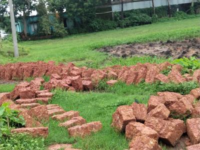 Benupur plotting project Plot View 2
