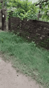 Image of 435 Sq.ft Residential Plot / Land for sale in Pandra, Ranchi for Rs. 2100000