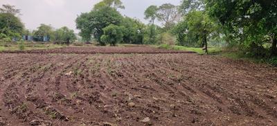 Bharodi Village  Plot View 2