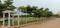 Residential 167 Sqft Plot for sale at Bhogapuram, | Property ID - 17815019
