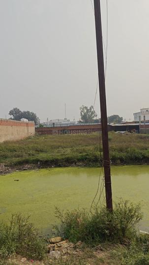 Rohania Main Image 1