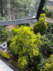 Image of 500 Sq.ft 2 BHK Apartment / Flat for sale in Bengal Greenfield Ambition, Rajarhat, Kolkata for Rs. 5500000