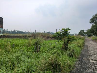 Wander Valley Plot View 2