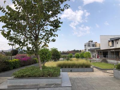 Residential Plot