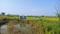 Vindhane Main Image 1