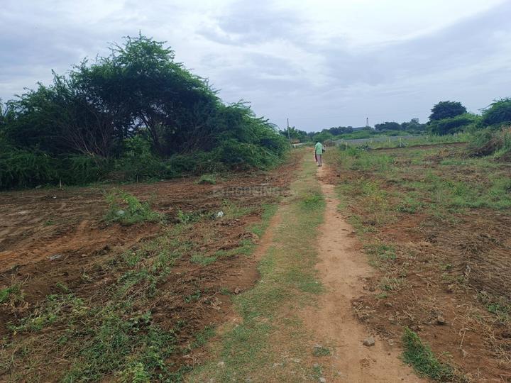 Pudipatla Main Image 1