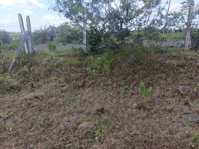 Residential Plot