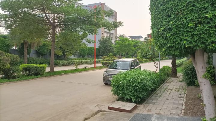 Sector 99 Main Image 1