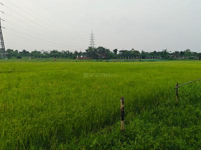 Sonarpur Plot View 3