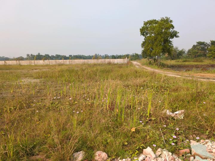 Metroplex City Main Image 1