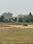 Image of 1000 Sq.ft Residential Plot / Land for sale in Papnamow, Lucknow for Rs. 1500000