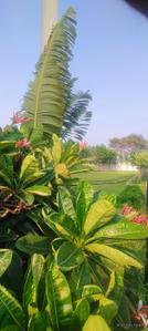Image of 640 Sq.ft Residential Plot / Land for sale in Bhilai Marshalling Yard, Charoda for Rs. 1088000
